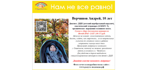 Верчинов Андрей, 10 лет  Диагноз: ДЦП (детский церебральный паралич), спастический тетрапарез (GMSFC 5), органическое  поражение головного мозга.